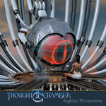 Review: Thought Chamber - Angular Perceptions