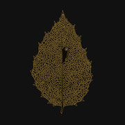 Review: Dear John Letter - Between Leaves – Forestral