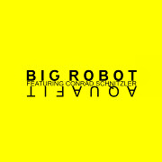 Review: Big Robot - Aquafit