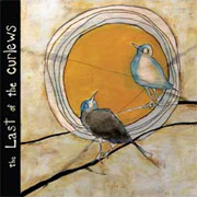 Review: Brett Kull - The Last Of The Curlews