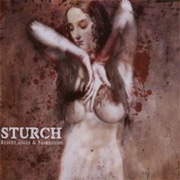 Review: Sturch - Beauty, Anger & Aggression