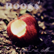 Review: Rooga - Behind The Mirror