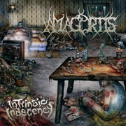 Review: Amagortis - Intrinsic Indecency