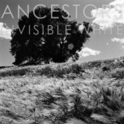 Review: Ancestors - Invisible White