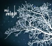 Review: Bob K - Fragile