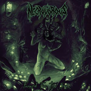 Review: Necrovorous - Funeral For The Sane