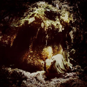 Review: Wolves In The Throne Room - Celestial Lineage