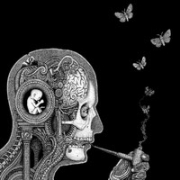 Review: Soen - Cognitive