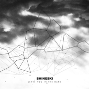 Review: Shineski - Leave You In The Dark