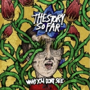 Review: The Story So Far - What You Don't See