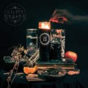 Review: Silver Snakes - Year Of The Snakes