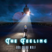 The Feeling: Boy Cried Wolf