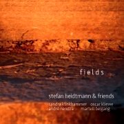 Review: Stefan Heidtmann & Friends - Fields