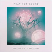 Review: Pray For Sound - Everything Is Beautiful