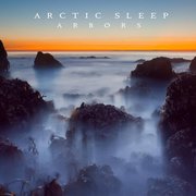 Review: Arctic Sleep - Arbors