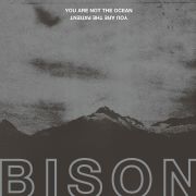 Review: Bison - You Are Not The Ocean You Are The Patient