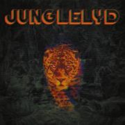 Review: Junglelyd - Paracaidas