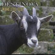 Review: Destinova - The Nameless Goat