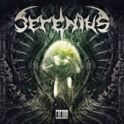 Serenius: Cocoon