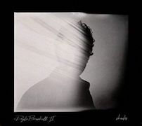 Review: Doyle Bramhall II - Shades