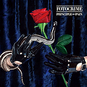 Review: Fotocrime - Principle Of Pain