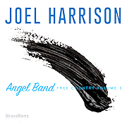 Review: Joel Harrison - Angel Band – Free Country Volume 3