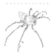 Review: Kettlespider - Kettlespider