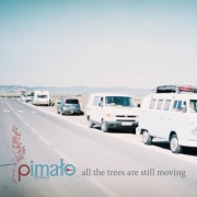 Review: PIMALO - All The Trees Are Still Moving