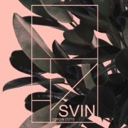 Review: Svin - Virgin Cuts