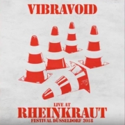 Review: Vibravoid - Live At Rheinkraut Festival 2018