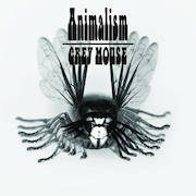 Review: Grey Mouse - Animalism