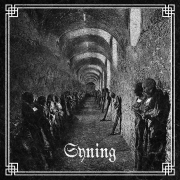 Review: Syning - Syning