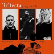 Review: Trifecta - Fragments