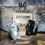 Review: NMB (Neal Morse Band) - Innocence & Danger