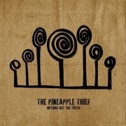 Review: The Pineapple Thief - Nothing But The Truth