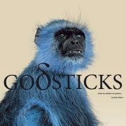 Review: Godsticks - This Is What a Winner Looks Like