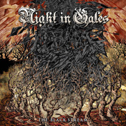 Review: Night in Gales - Black Stream