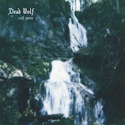 Review: Dead Wolf - Evil Spirit