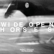 DVD/Blu-ray-Review: James Vincent McMorrow - Wide Open, Horses