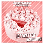 DVD/Blu-ray-Review: Katastrophen Kommando - Nettikettenschwindel