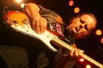 Blues Festival: Walter Trout, Bernard Allison, Todd Wolfe